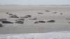 HWK Texel 2015 084_small.jpg